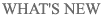 Sanshin Corporation Spare Parts Japan